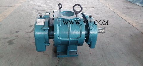 大量供应金翊牌JYSR65A罗茨风机 增氧风机 增氧泵 高压鼓风机 污水处理风机图3