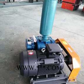 大量供应金翊牌JYSR65A罗茨风机 增氧风机 增氧泵 高压鼓风机 污水处理风机图4