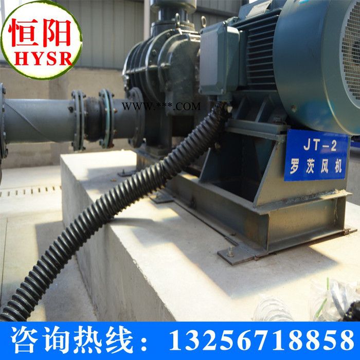 供应恒阳HYSR100供应新型三叶罗茨鼓风机图2