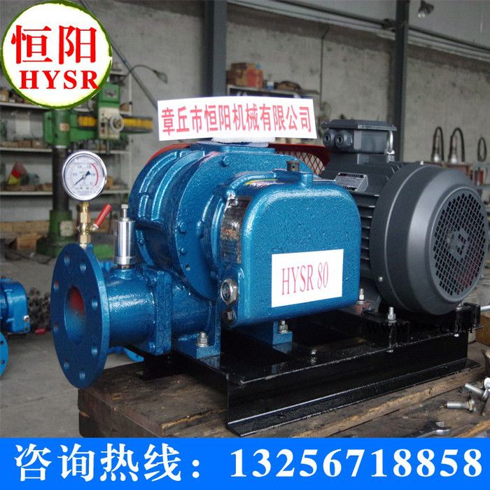 供应恒阳HYSR100供应新型三叶罗茨鼓风机图3