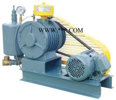 专业生产回转式风机、回转式鼓风机 回转风机污水曝气、济南勇龙环保设备图3