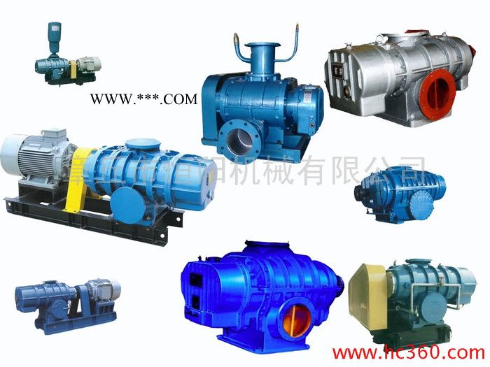 明阳牌 厂家专业定制加工 HYSR50-300 主要用于污水处理*水产养殖*气力输送的罗茨风机*鼓风机*真空泵‘’图2