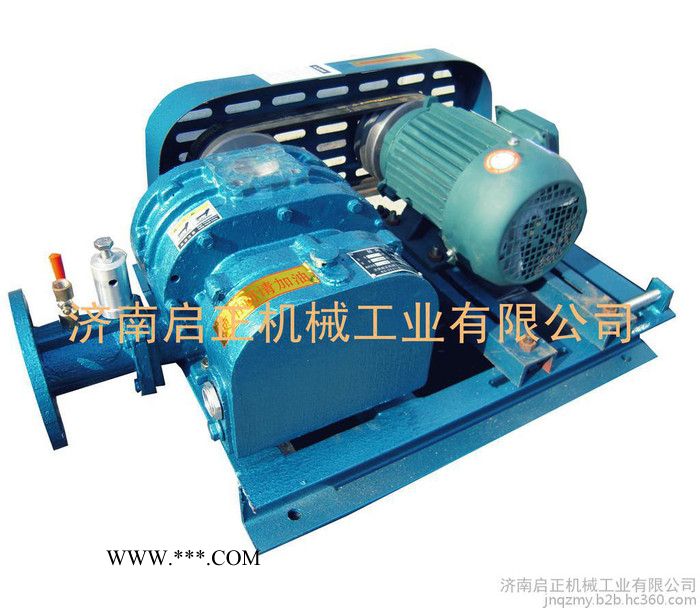 供应启正CCR125 大风量罗茨鼓风机图5