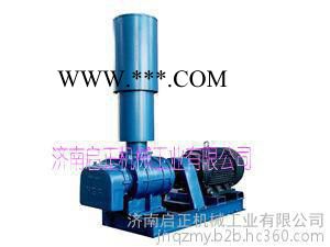 供应启正CCR125 大风量罗茨鼓风机图4