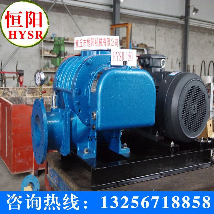 供应恒阳HYSR100H明阳HYSR系列罗茨鼓风机图2