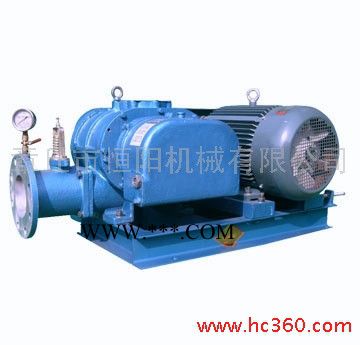 供应恒阳HYSR50-300**高压罗茨鼓风机图2