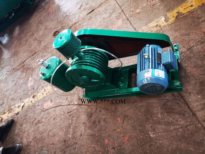 **品质保证绿源HC-501S回转式鼓风机图3