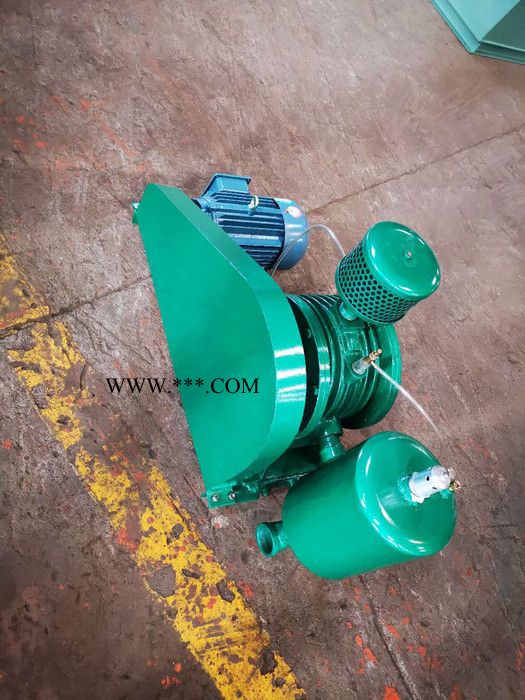 **品质保证绿源HC-501S回转式鼓风机图4