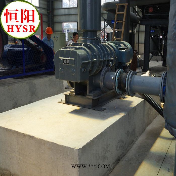 供应明阳牌HYSR50-300买罗茨风机/罗茨真空泵就选明阳牌 三叶罗茨鼓风机图3