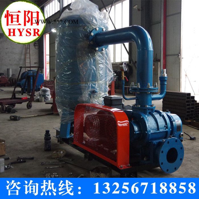 供应明阳牌HYSR50-300买罗茨风机/罗茨真空泵就选明阳牌 三叶罗茨鼓风机图2