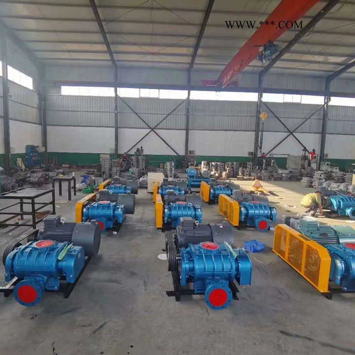 裕丰达SR-50 罗茨风机 三叶罗茨鼓风机 质量保证 **图3