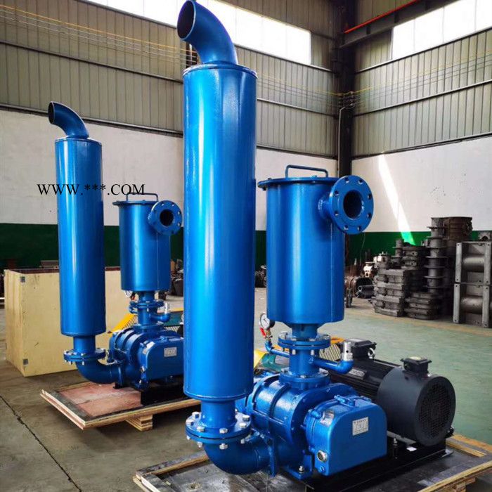 裕丰达SR-50 罗茨风机 三叶罗茨鼓风机 质量保证 **图4