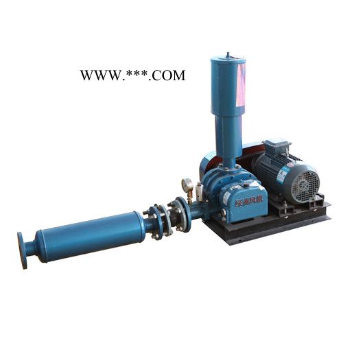 章丘绿洲机械厂家供应三叶罗茨鼓风机气力输送真空包装风机效率高风量大图5