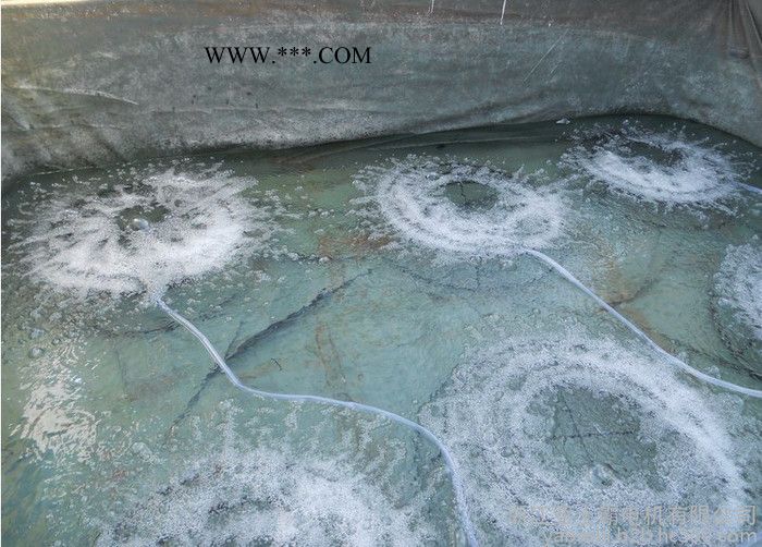 亚士霸旋涡高压风机增氧泵增氧鼓风机图6