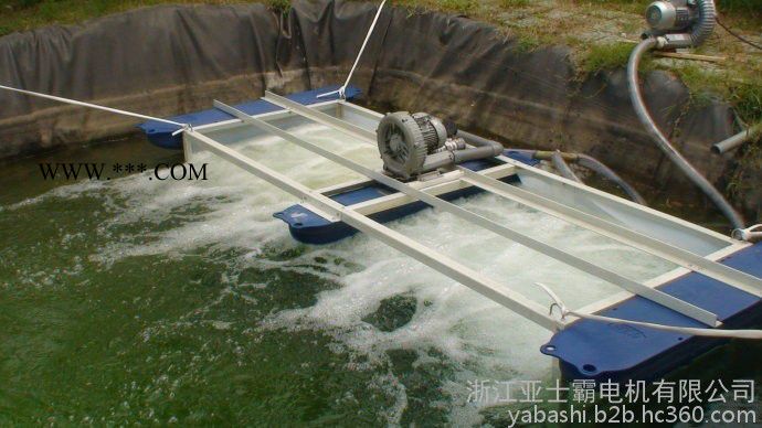 亚士霸旋涡高压风机增氧泵增氧鼓风机图2