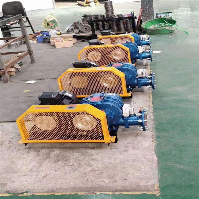 鑫沣XFSR-50 三叶罗茨风机 淡水养殖鼓风机输出气体纯净节能环保图3