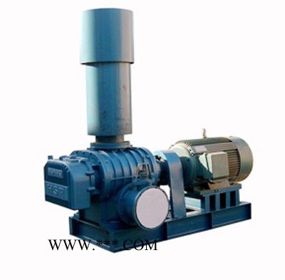 佛山风机厂直销三叶罗茨鼓风机NYR-200型图2