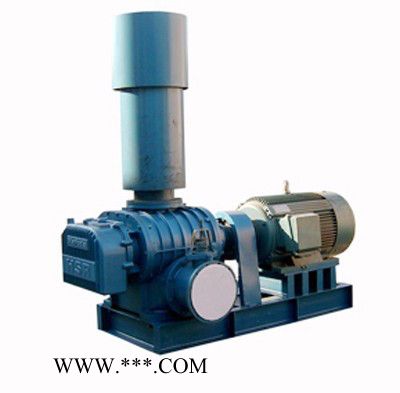 佛山风机厂直销三叶罗茨鼓风机NYR-200型图3