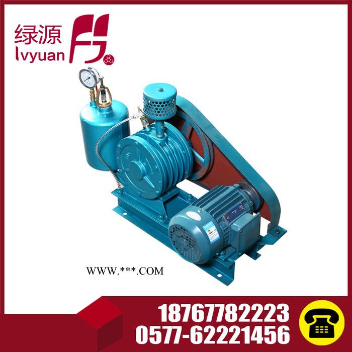 供应**回转式鼓风机 供应HC501S回转式风机供应回转式风机图3