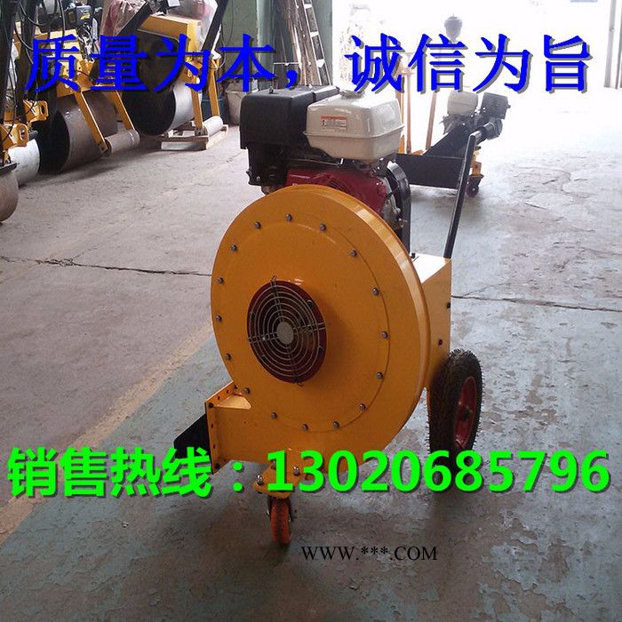 庆安QA-55 清理路石子面吹风机 马路吹干鼓风机图8