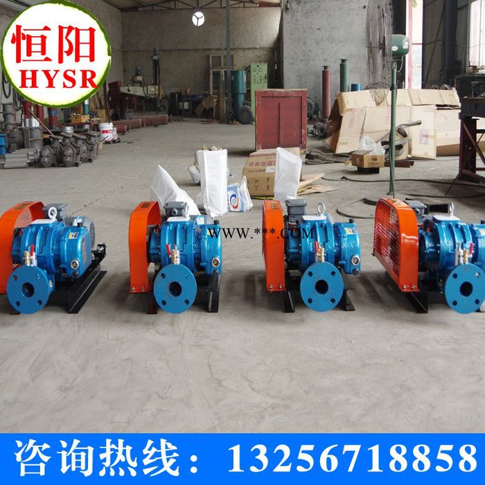 供应恒阳HYSR50-300性能优维修简便罗茨鼓风机，图3