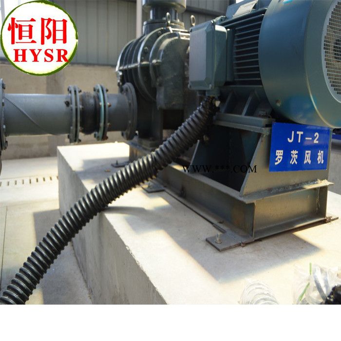 供应恒阳HYSR50-300性能优维修简便罗茨鼓风机，图2