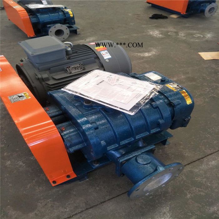 鑫沣XFSR-100HC 熔喷布常用罗茨鼓风机图2