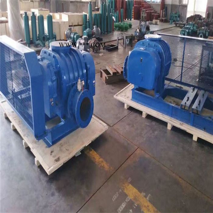 鑫沣XFSR-100HC 熔喷布常用罗茨鼓风机图7