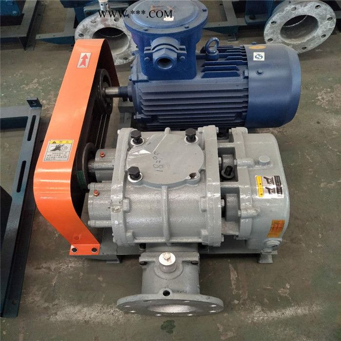 鑫沣XFSR-100HC 熔喷布常用罗茨鼓风机图5