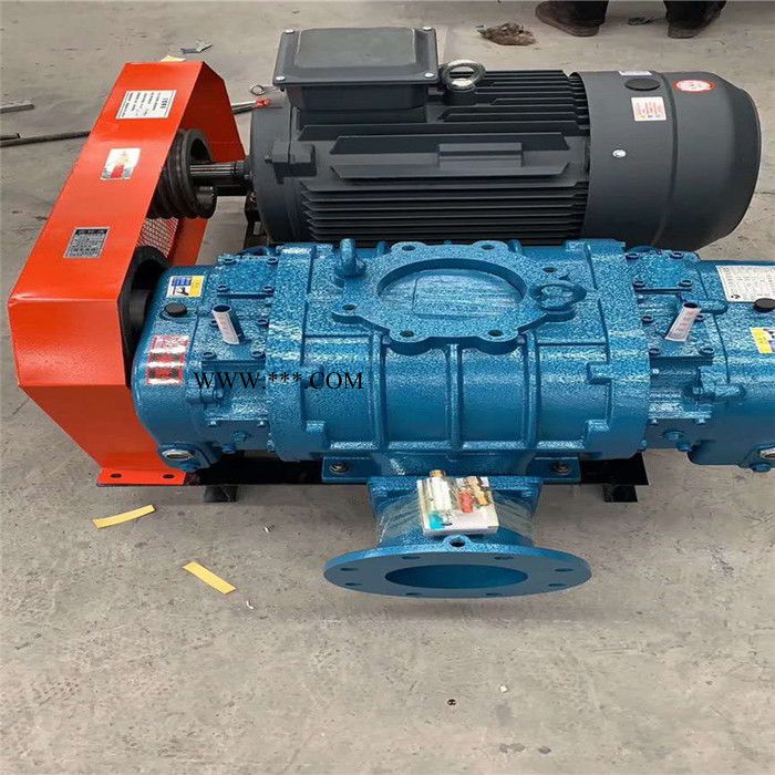 鑫沣XFSR-100HC 熔喷布常用罗茨鼓风机图8