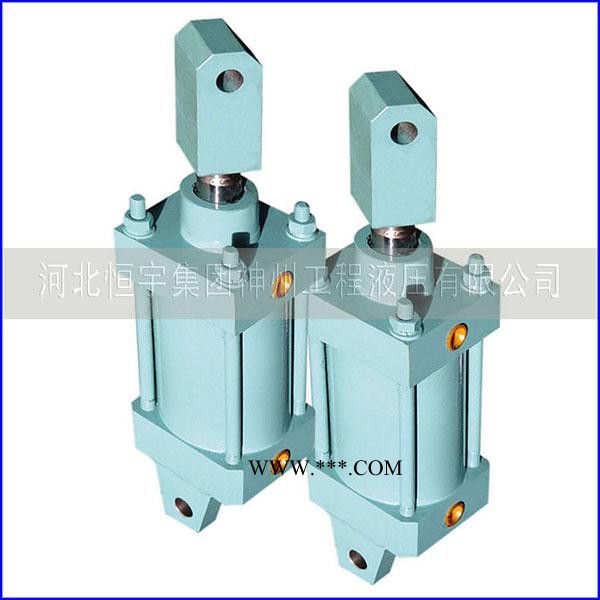 恒宇升降机油缸   河北液压油缸质量保证 吊机起重机油缸设计生产图4