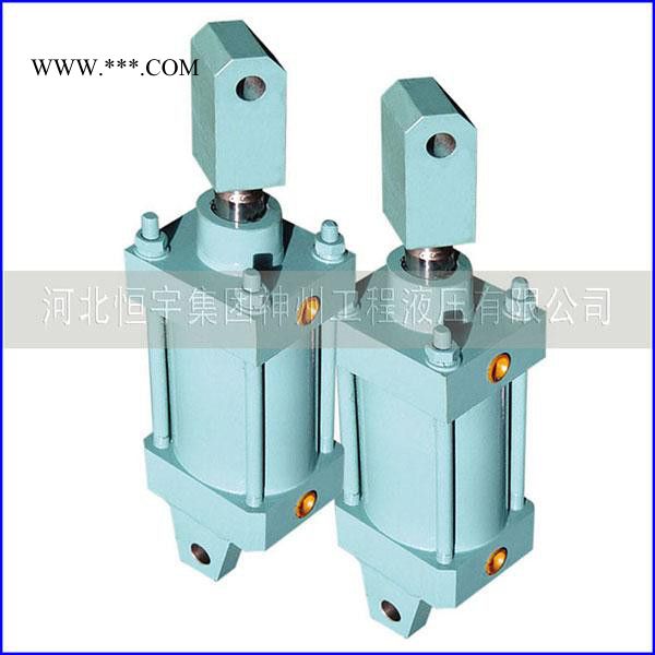 恒宇升降机油缸   河北液压油缸质量保证 吊机起重机油缸设计生产图5