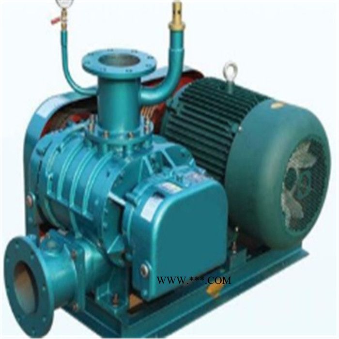 鑫沣XFSR-100 三叶罗茨鼓风机 三叶罗茨真空泵安全可靠 三叶罗茨鼓风机 罗茨真空泵安全可靠图3