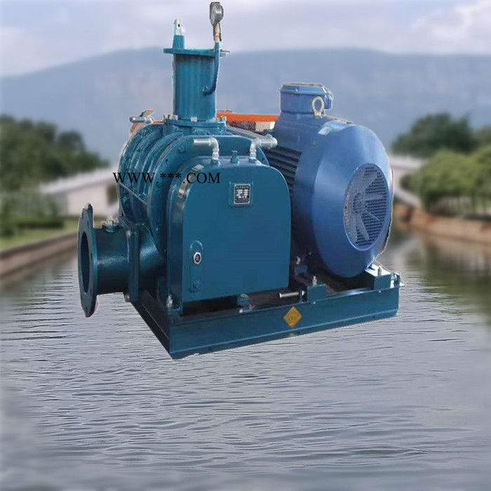 鑫沣XFSR-100 三叶罗茨鼓风机 三叶罗茨真空泵安全可靠 三叶罗茨鼓风机 罗茨真空泵安全可靠图2