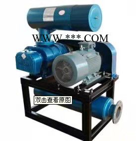 章丘风机厂家直供三叶罗茨鼓风机大风量气力输送真空包装风机支持定制图5