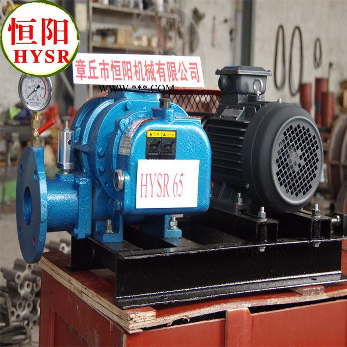 供应恒阳HYSR50-300厂家力荐**价廉，售后有保障风 三叶罗茨鼓风机图3