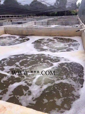 亚士霸风机 HG-3800S 浙江亚士霸旋涡风机旋涡气泵高压罗茨鼓风机图2