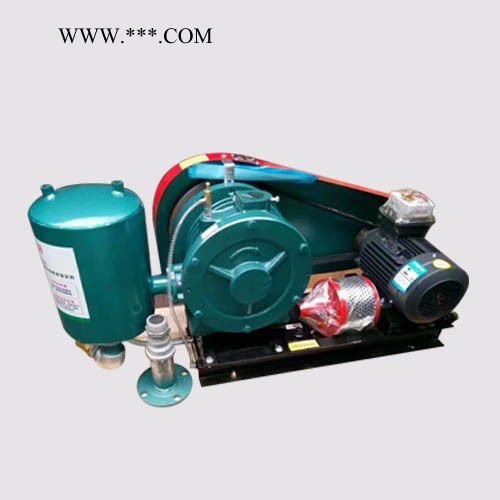 鼓风机用途  HZ-50S回转风机  污水处理风机图3