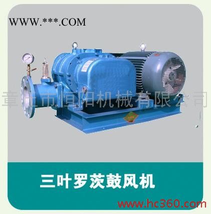 供应恒阳HYSR175供应罗茨鼓风机/罗茨真空泵/三叶罗茨风机//图2
