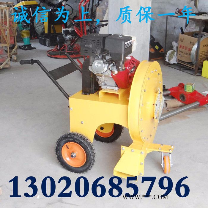 马路鼓风机 公路灰尘吹风机 清理路面吹风机图2