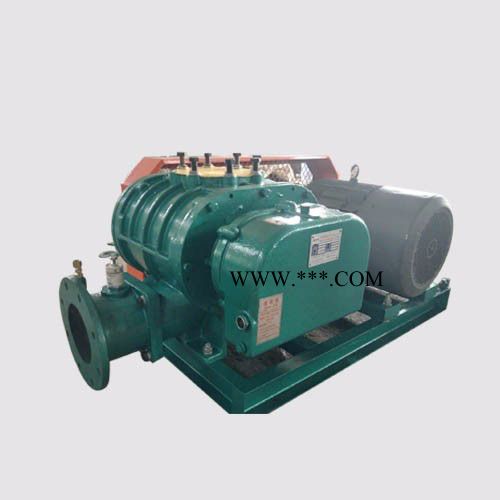 罗茨鼓风机 **供应商 产品报价低 质量保障图3