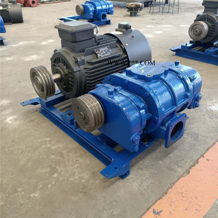 鑫沣XFSR-150 三叶罗茨鼓风机 工业污水处理用罗茨风机经久耐用图6