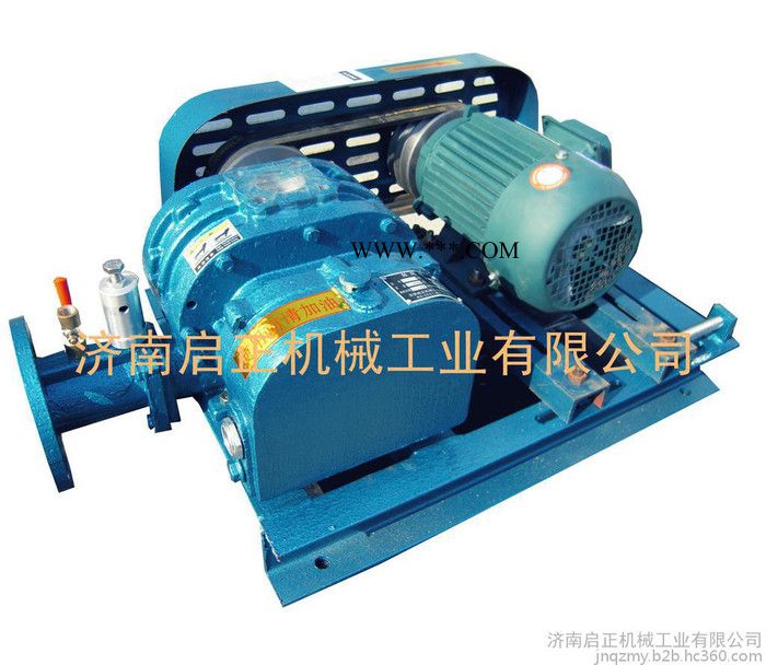 供应济南启正CCR200罗茨鼓风机厂家自产直销 性价比高图2