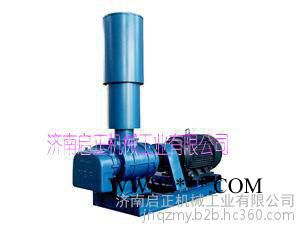 供应济南启正CCR200罗茨鼓风机厂家自产直销 性价比高图3