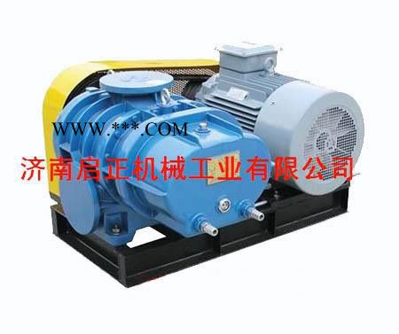 供应济南启正CCR200罗茨鼓风机厂家自产直销 性价比高图4