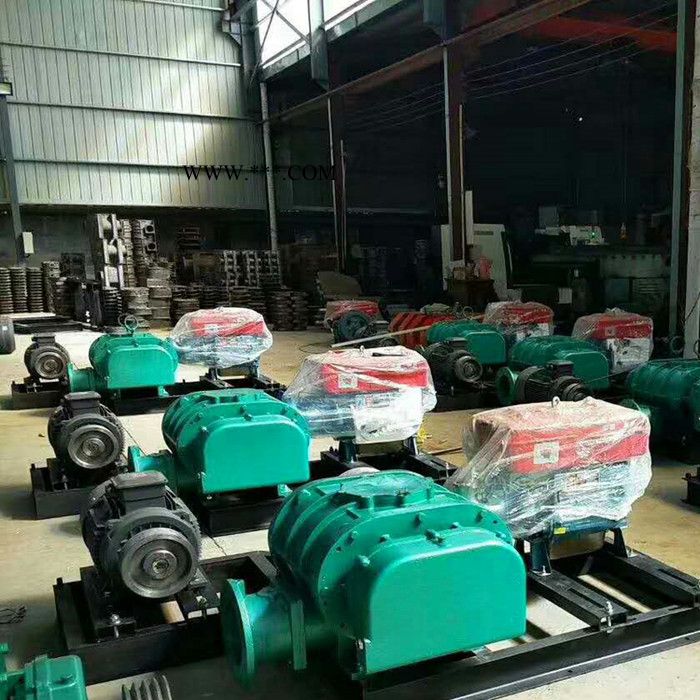 裕丰达SR-100 罗茨风机 三叶罗茨鼓风机 **图2