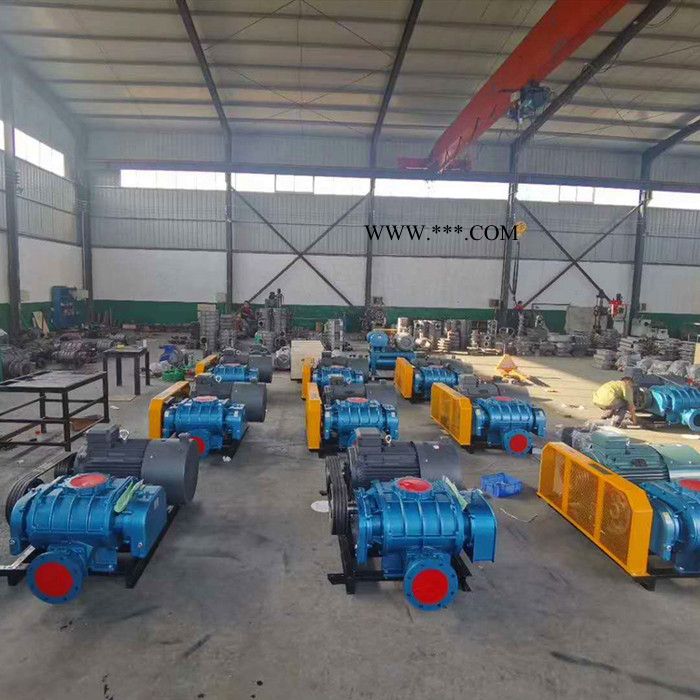 裕丰达SR-100 罗茨风机 三叶罗茨鼓风机 **图3