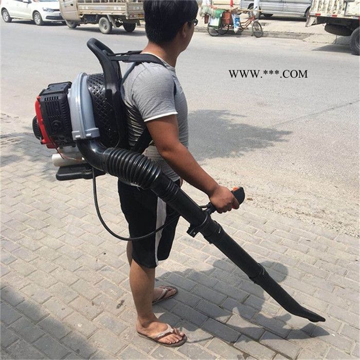 程煤背负式汽油吹风机 风力灭火机 工程鼓风机图3