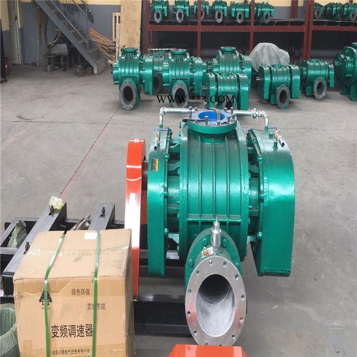 鑫沣XFSR-300 三叶罗茨鼓风机食品厂气力输送用风机空气纯图5