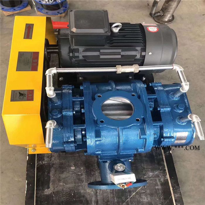 鑫沣XFSR-300 三叶罗茨鼓风机食品厂气力输送用风机空气纯图2